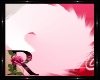 !R! Ori P Tail