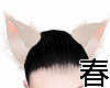 1524KittyEarsè²è³