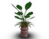 Plant Agency