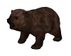 Baby Brown bear