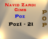 Navid Zardi - Poz