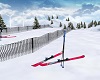 Snow Ski
