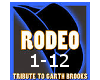 Garth Brooks Rodeo