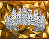 Miss venezuela Crown