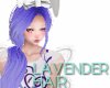 Bun! Lavender Ponytail