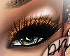 Orange Eyeshadow &Lashes