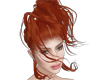  Zya ginger