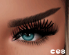Ces-Fasihon Eyebrows