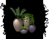 SET OF POTTED PLANTS