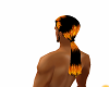 flaming ponytail