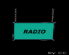 Radio and Delagger Sign