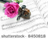 ~Vio sacred Dub~