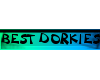 Best Dorkie