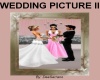WEDDING PICTURE II