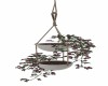 Hanging Flower Plants