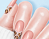 🤍Coquette Print Nails