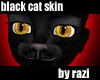 Black Cat Skin