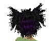 Black/Purple fiwee hair