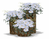 tree stump w/ jasmine
