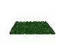 Green Grass Rug 2