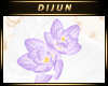 D.H. Lilac Lotus 2