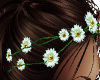 Hair Flowers 2