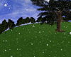 Animated Snow 