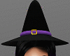 H/Witch hat with hair