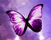 purple butterfly ~lon~