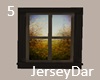 Window 5