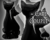 Cat~ Black Cats  Couple