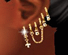 Earrings - Gold Hoop Set