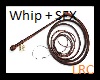 Whip + SFX (F)