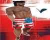flag beach trunks