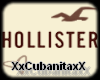 Hollister Icon