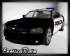 (E)Police Charger Car