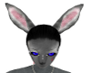 rabbit furry ears grey