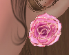 Pink Rose Valentine