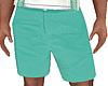 Summer Cool Aqua Shorts