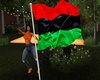 [EB]PAN AFRICAN FLAG