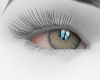Ash Grey Eyes Ash Grey Eyes