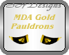 Gold Dragon Pauldrons M