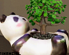 Panda Bonsai