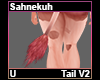 Sahnekuh Tail V2