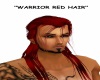 Warrior Red Hair