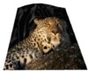 leopard blanket