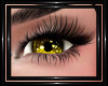 !T! Eyes | Yellow