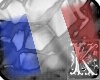 France flag (m/f)