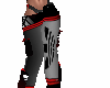 AdidasS Grey Pants F