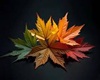 LEAVES MARKER